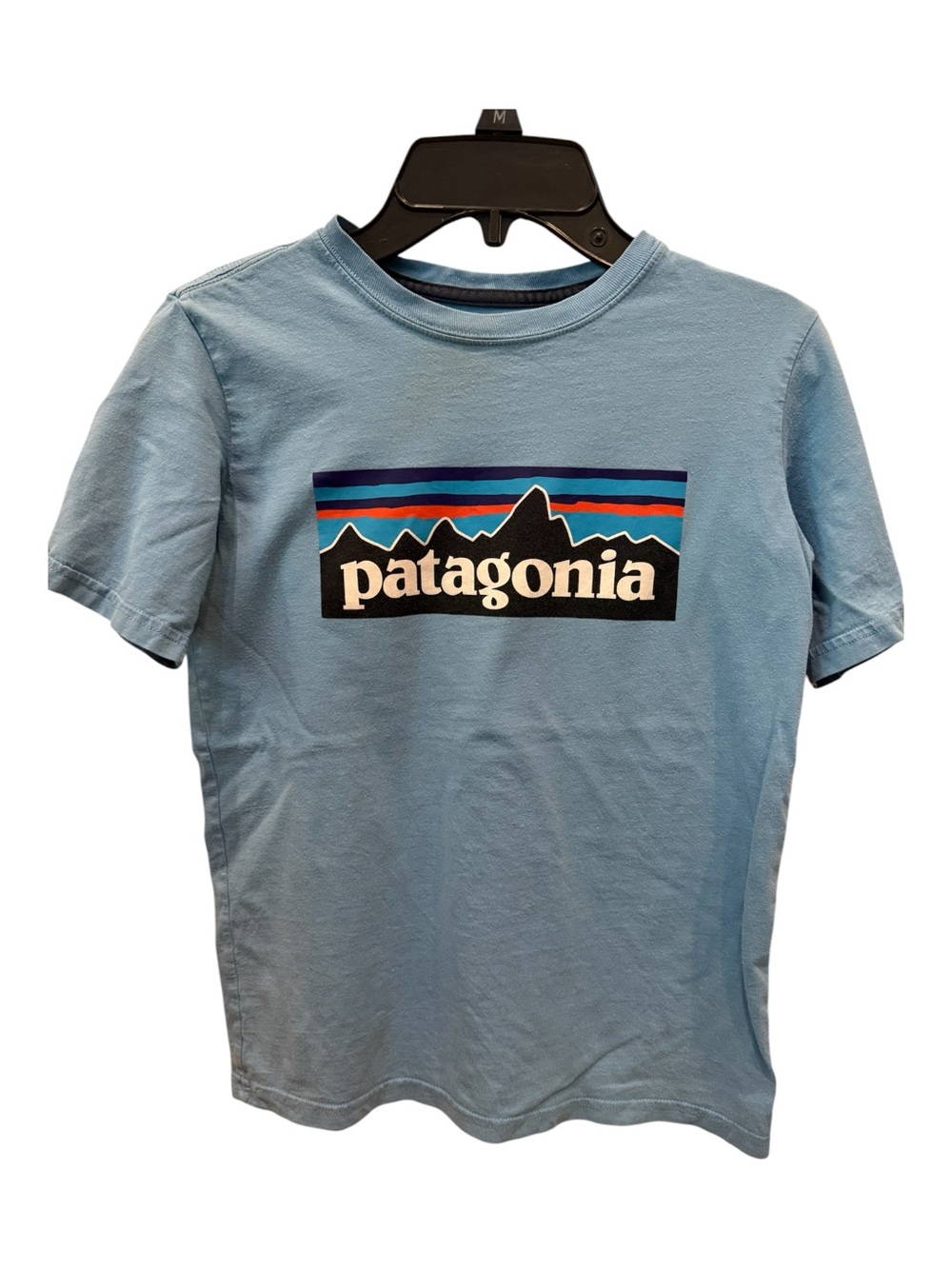 Patagonia Youth T-Shirt (baby blue)